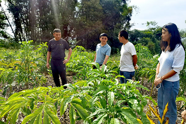 宁德鲁副院长考察木本森林蔬菜示范基地.jpg